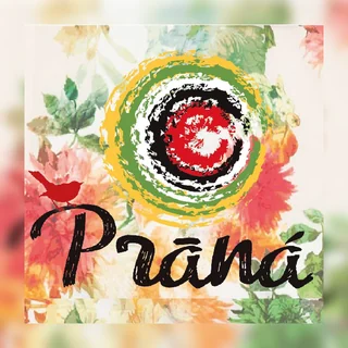 Logo Prâná Cocina al Natural